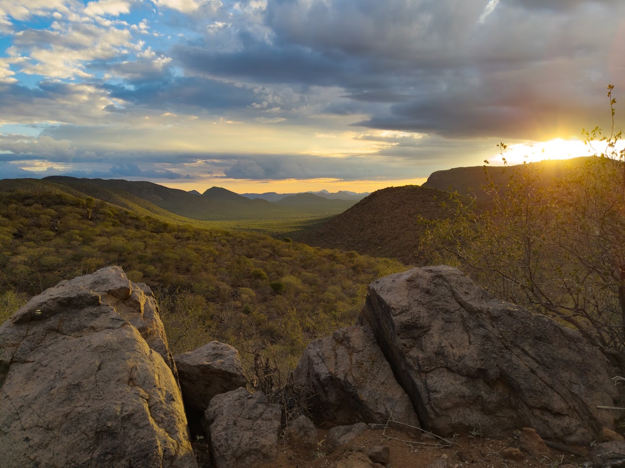 Die Idee hinter OKAVANDU