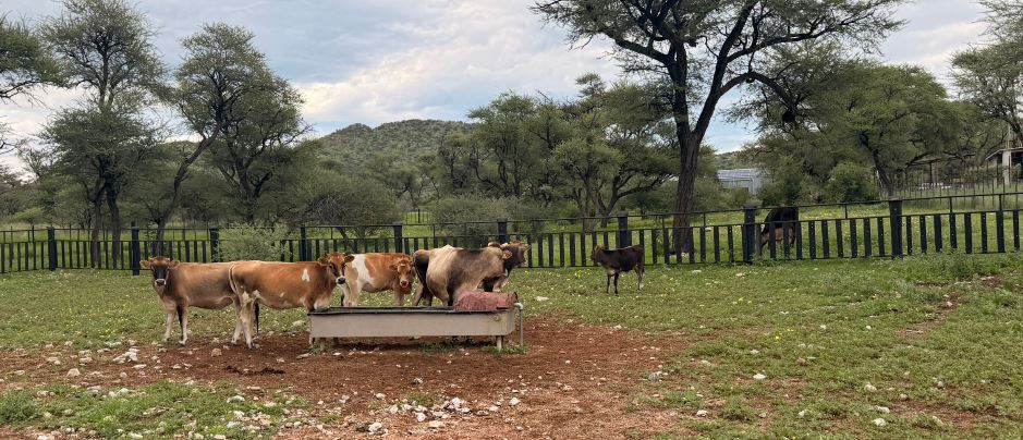 OKAVANDU Farm als Arbeitgeber