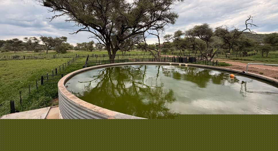 Regenerative Methoden