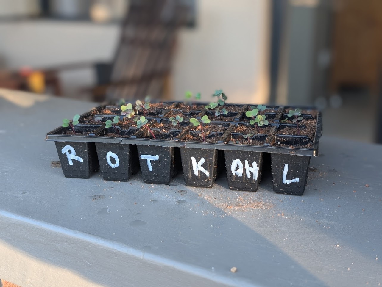 Praktische Ausbildung in nachhaltiger Landwirtschaft