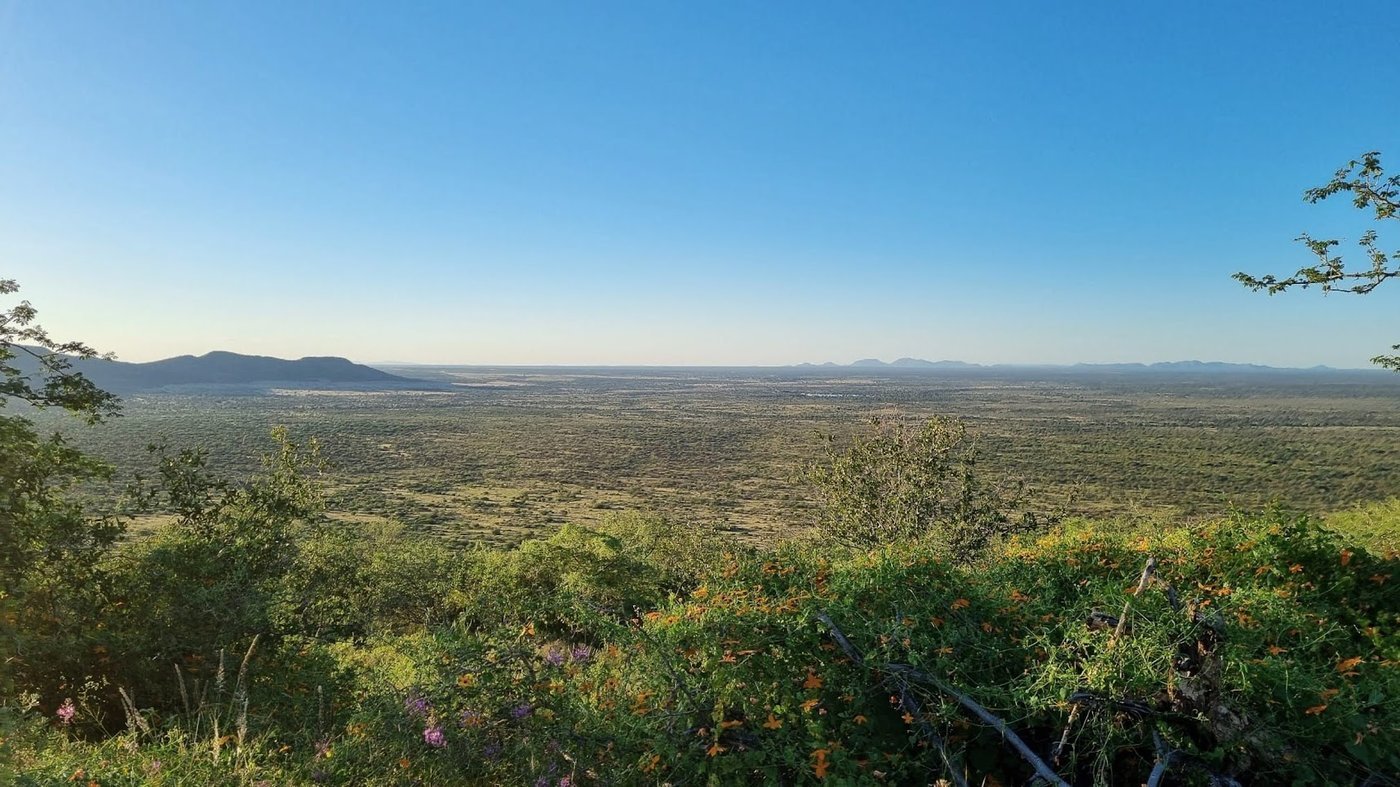 Namibische Landschaft — Lebensraum für Wildtiere