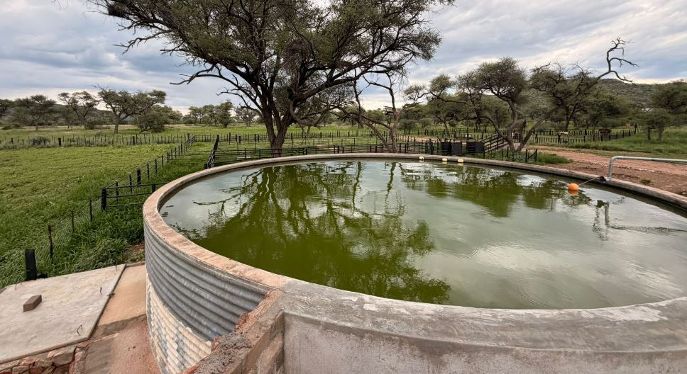 Regenerative Methoden